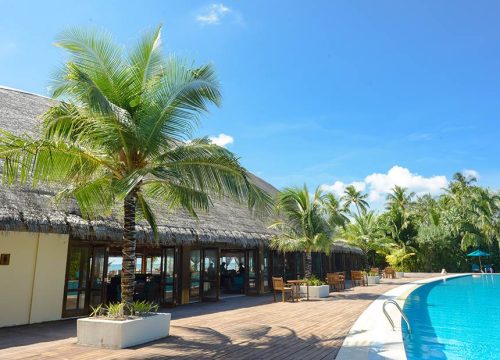 1 Bedroom Suite (Honeymoon Suite)